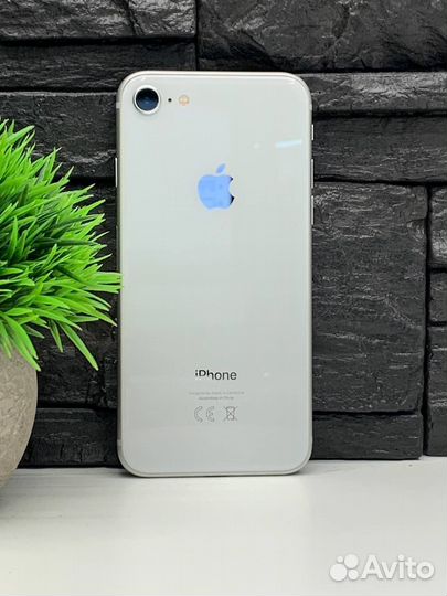 iPhone 8, 64 ГБ
