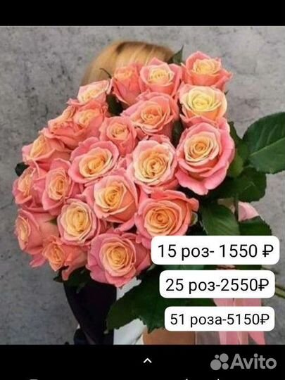 Розы с крупными бутонами