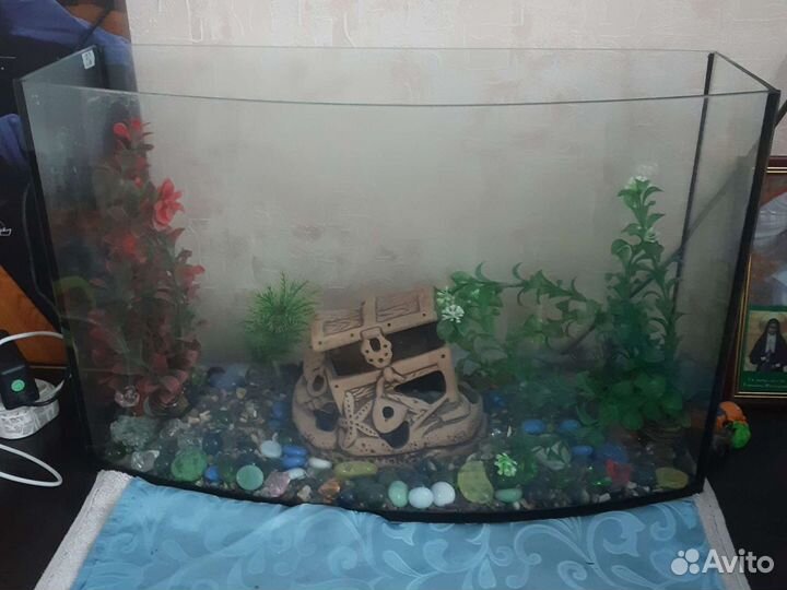 Аквариум