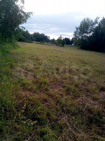 Участок 32 сот. (личное подсобное хозяйство (лпх))