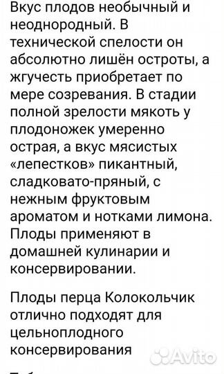 Семена коробочка Перчик фонаррик