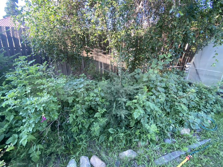 Дом 56 м² на участке 6 сот.