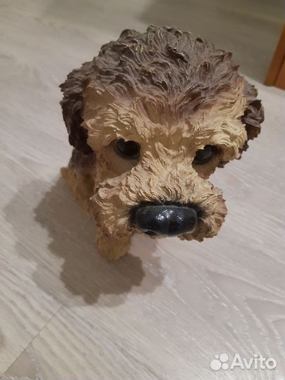 Собачка не копилка