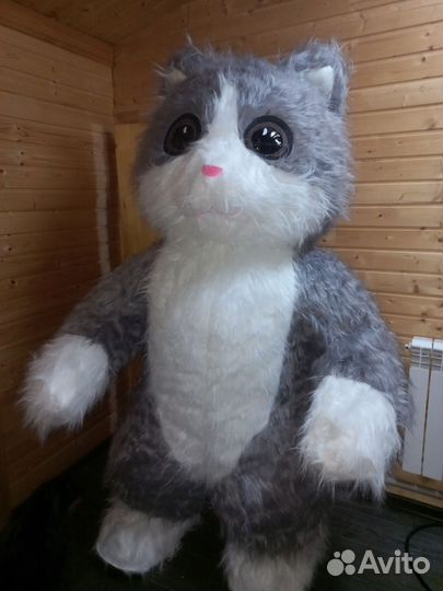 Мишка белый поздравление