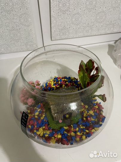 Аквариум круглый 12л