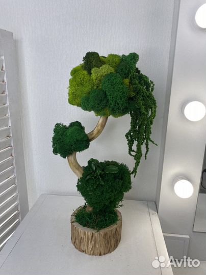 Вертикальное озеленение