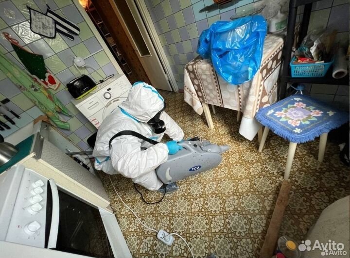 От клопов тараканов мышей блох запаха плесени