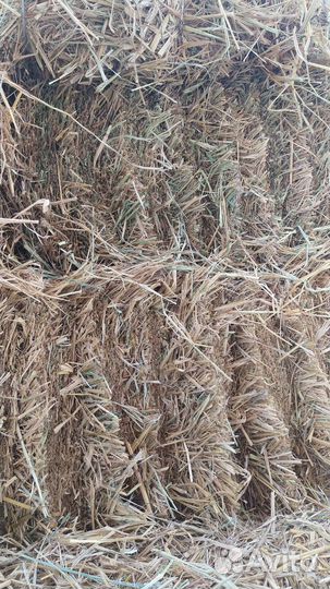 Солома в тюках рисовая