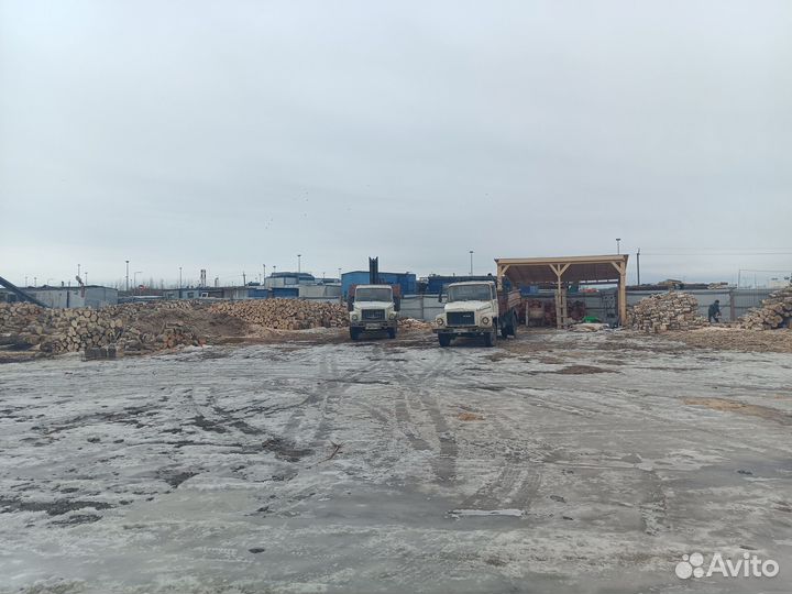 Дрова дубовые от 5м3