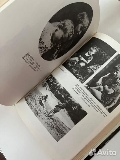 Быт ибытие М. Цветаевой ;В. Швейцер