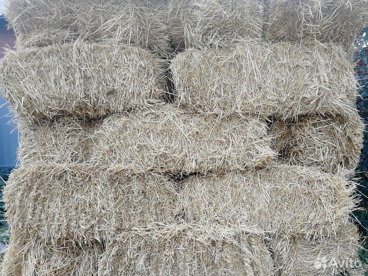 Сено солома в тюках