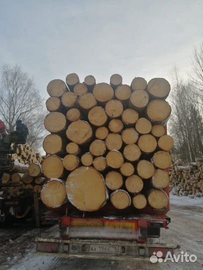 Лес кругляк строевой