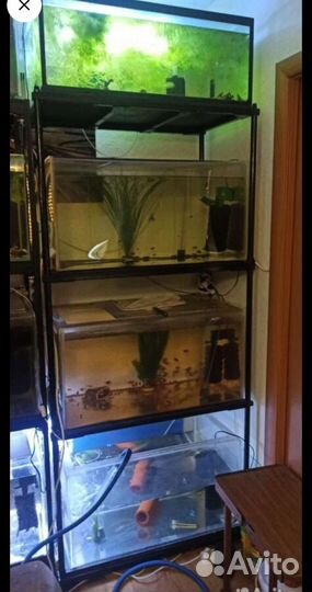 Аквариум
