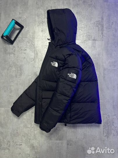 Куртка зимняя мужская TNF