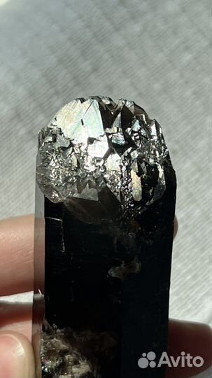 Морионы Ортау, Кз