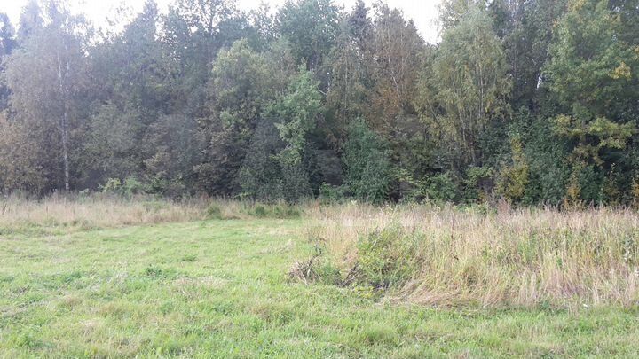 Участок 15 сот. (СНТ, ДНП)