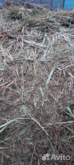 Сено в тюках и мешках