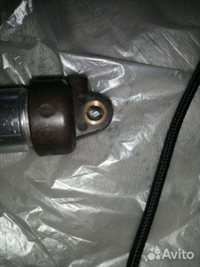 Пневмоцелидры. Kuroda(Япония)