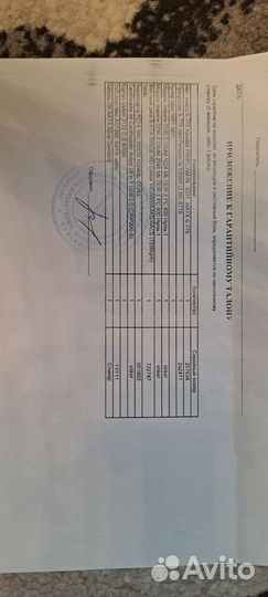 Системный блок