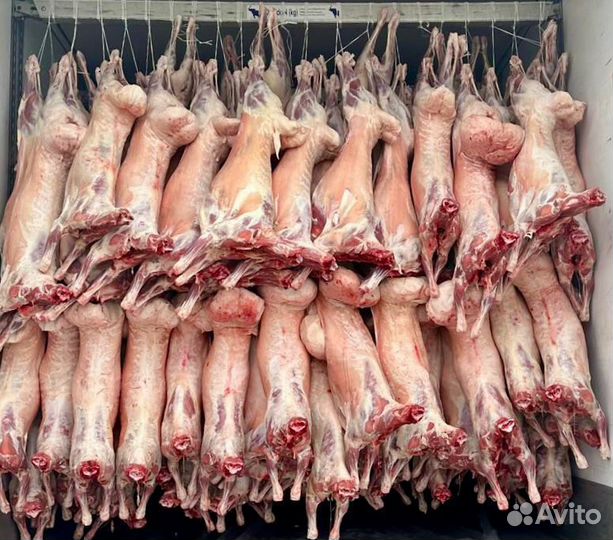 Мясо баранина тушки ягнят