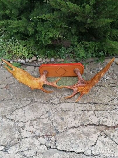 Рога лося гигантские