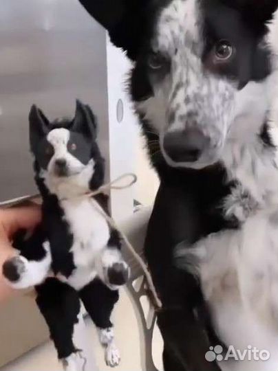 Игрушки ручной работы на заказ по фото питомца