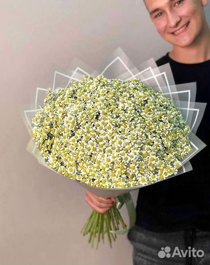 Цветы ромашки. Букеты ромашек. Цветы доставка