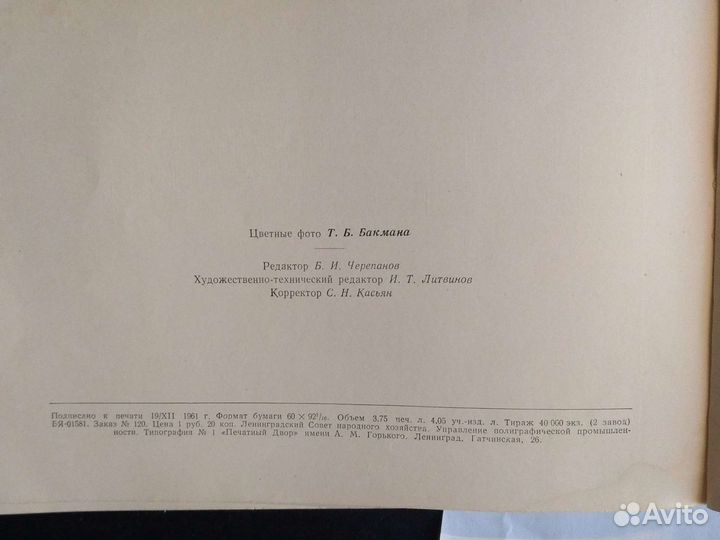 Альбом. Фото. 1962 год