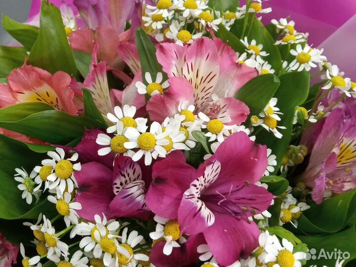 Полевой букет