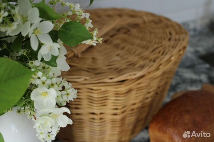 Хлебница новая