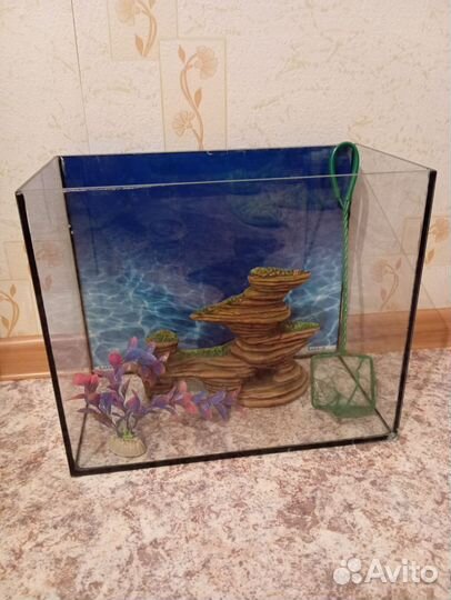 Аквариум