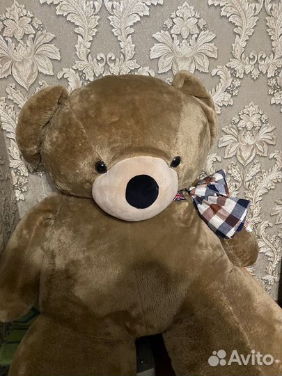 Плюшевый медведь