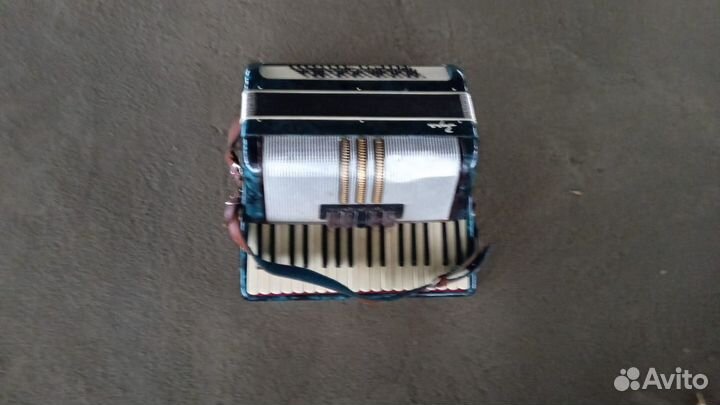 Аккордеон заря