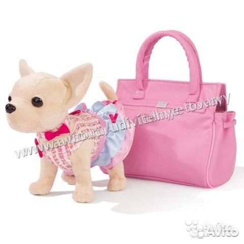 Собачка Чичилав