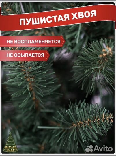 Ель Принцесса