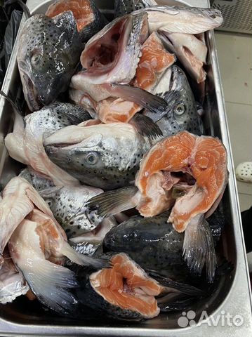 Супоновой набор, лосось