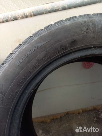 Nexen Winguard Ice Plus 205/55 R16