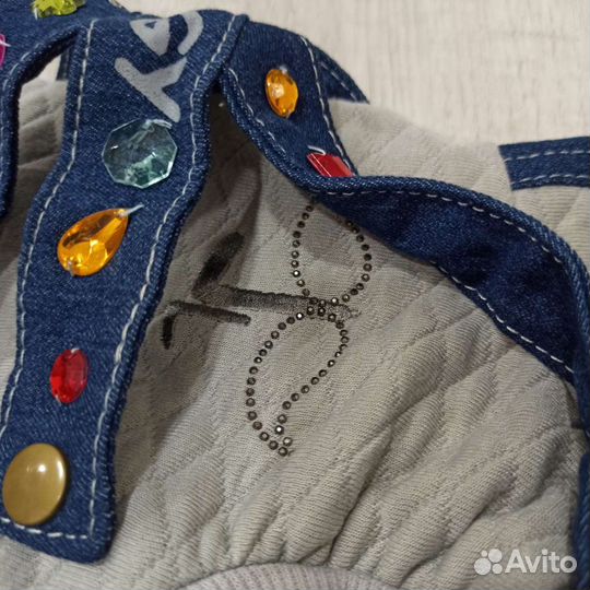 Одежда для собак мелких пород