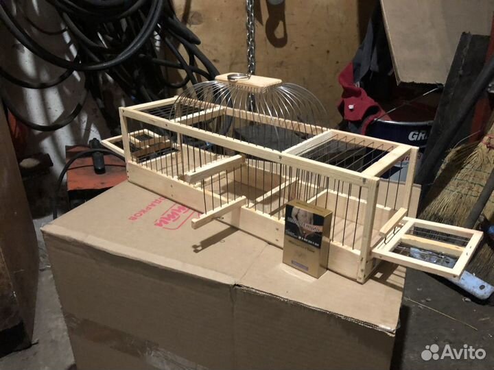 Западок ловушка