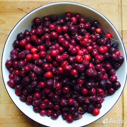 Варенье ирга клюква 11