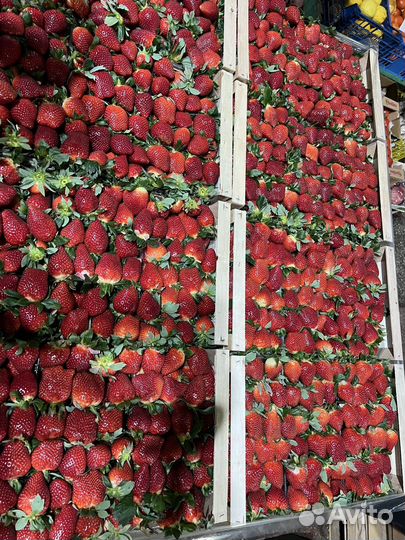 Овощи фрукты