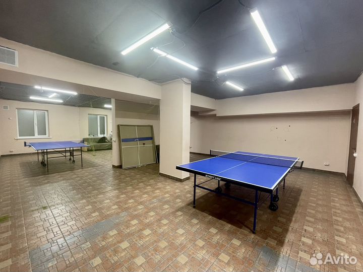 Продам готовый бизнес - настольный теннис
