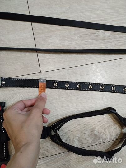 Ошейник+шлейка+поводок