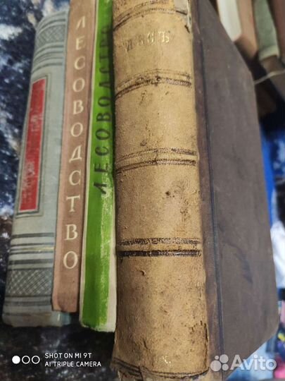 Лесъ сочинение А.Россмеслера 1866г