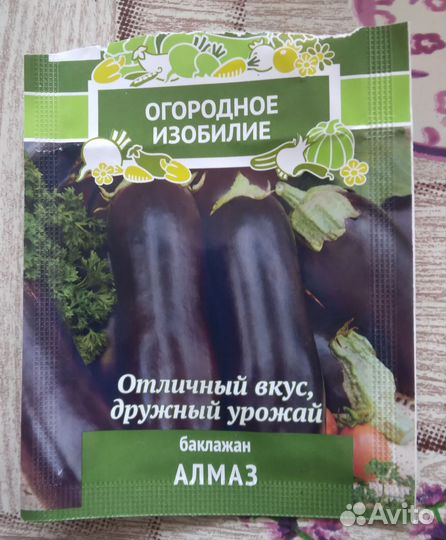 Рассада баклажан