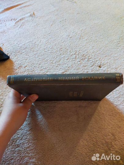 А. С. Пушкин - Медный всадник