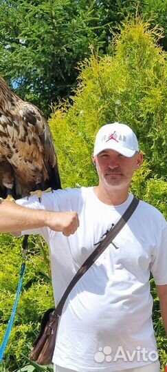 Ремонт и промывка газовых котлов и колонок