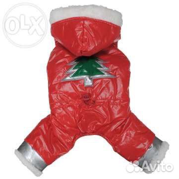 Одежда для кошек, собак