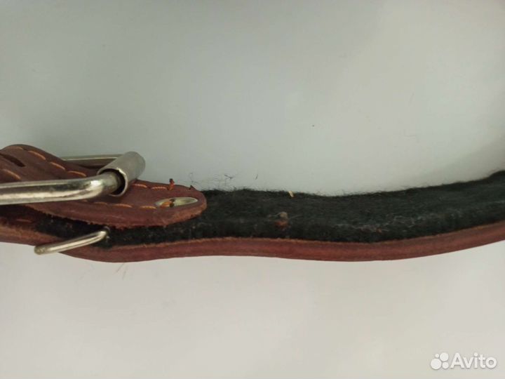 Ошейник для собак