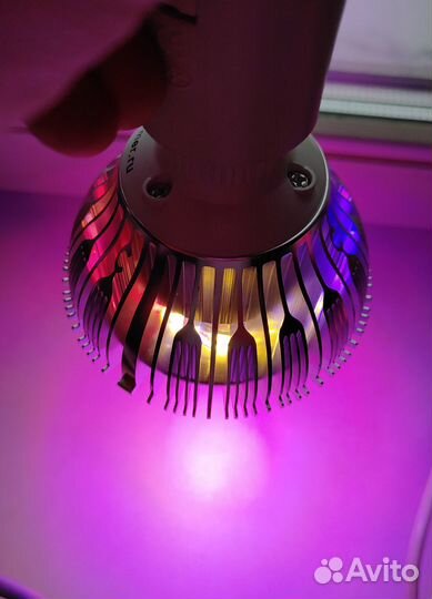 Фитолампа минифермер